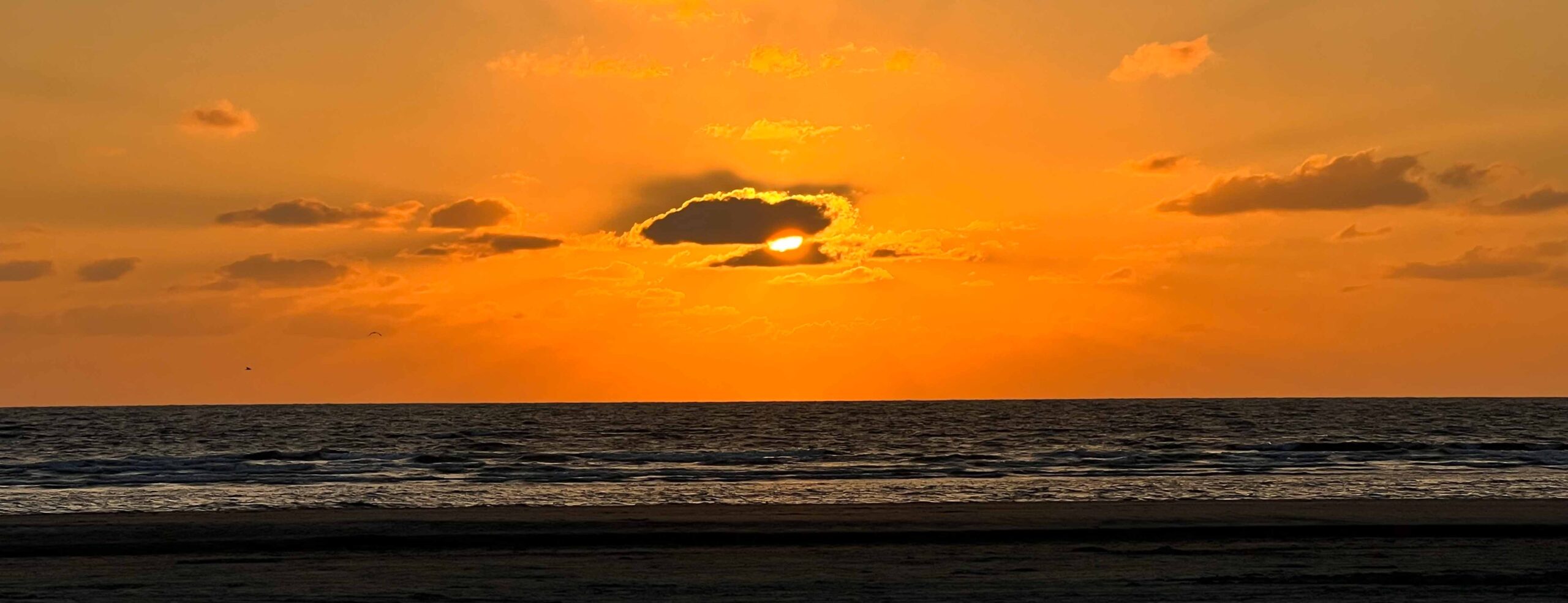 Sonnenuntergang Römö Hundeurlaub Hunde Naturell